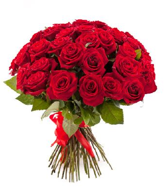Букет из 51 розы "Красные"